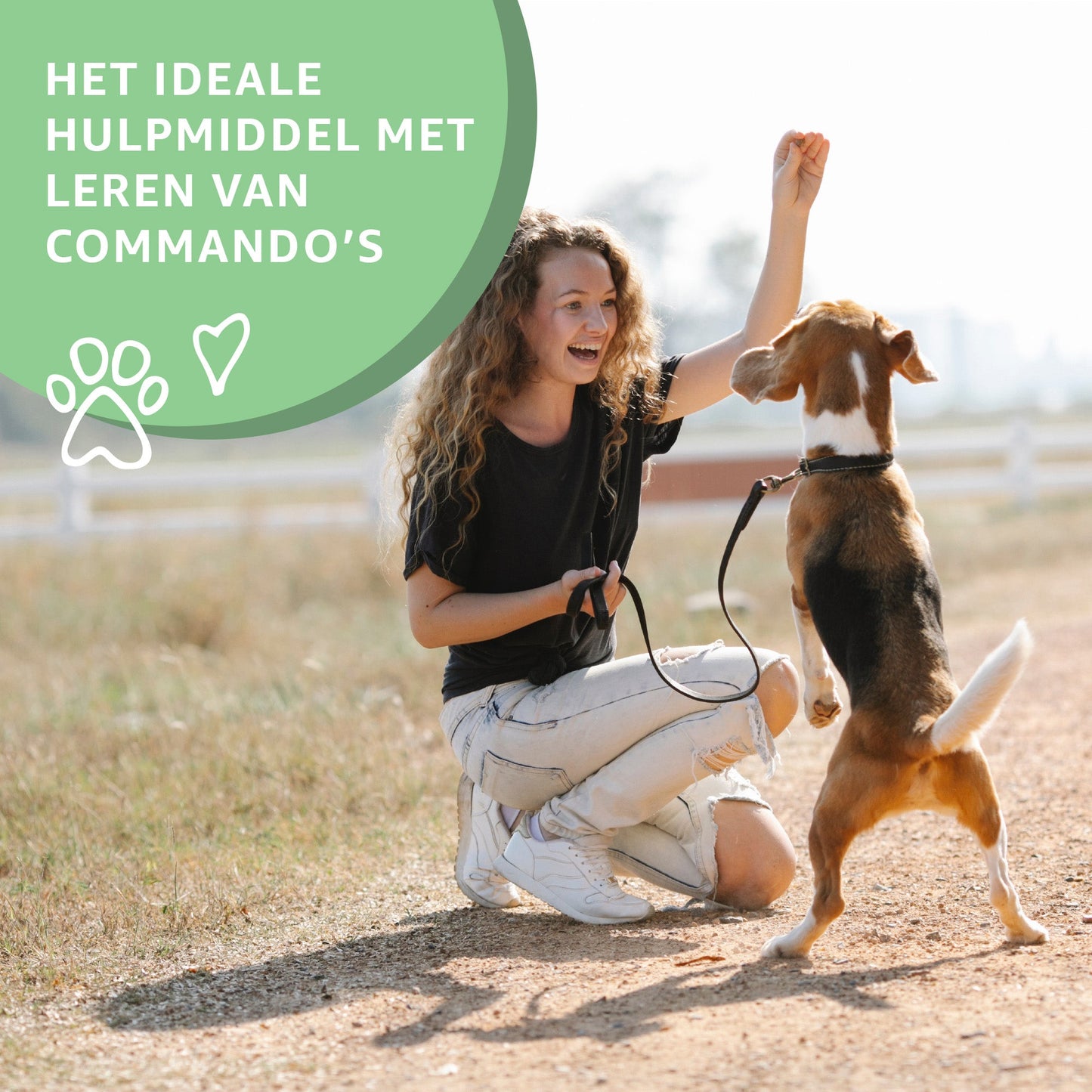 Puppy training snacks (eend)