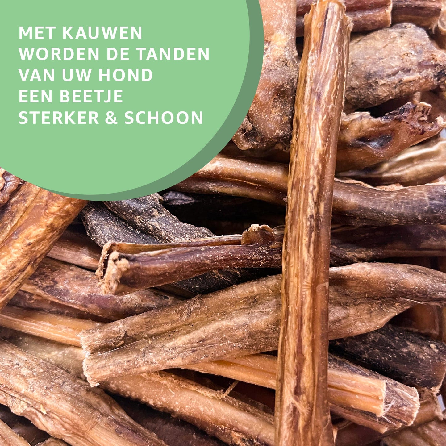 Bullepezen