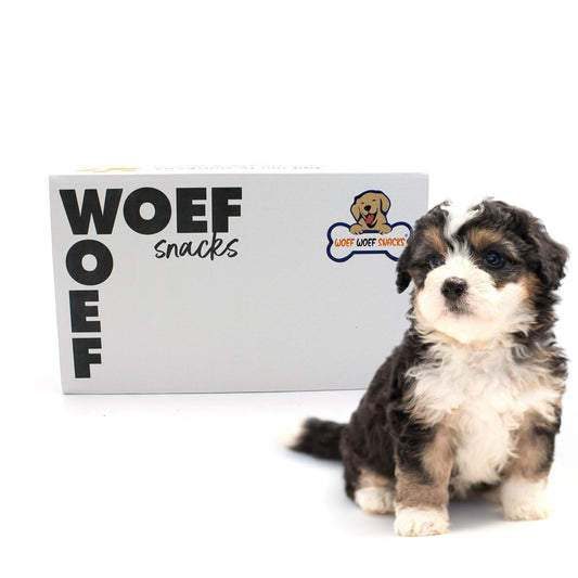 Puppy Box